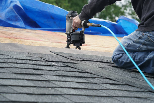 Best Roof Maintenance Services  in Eveleth, MN